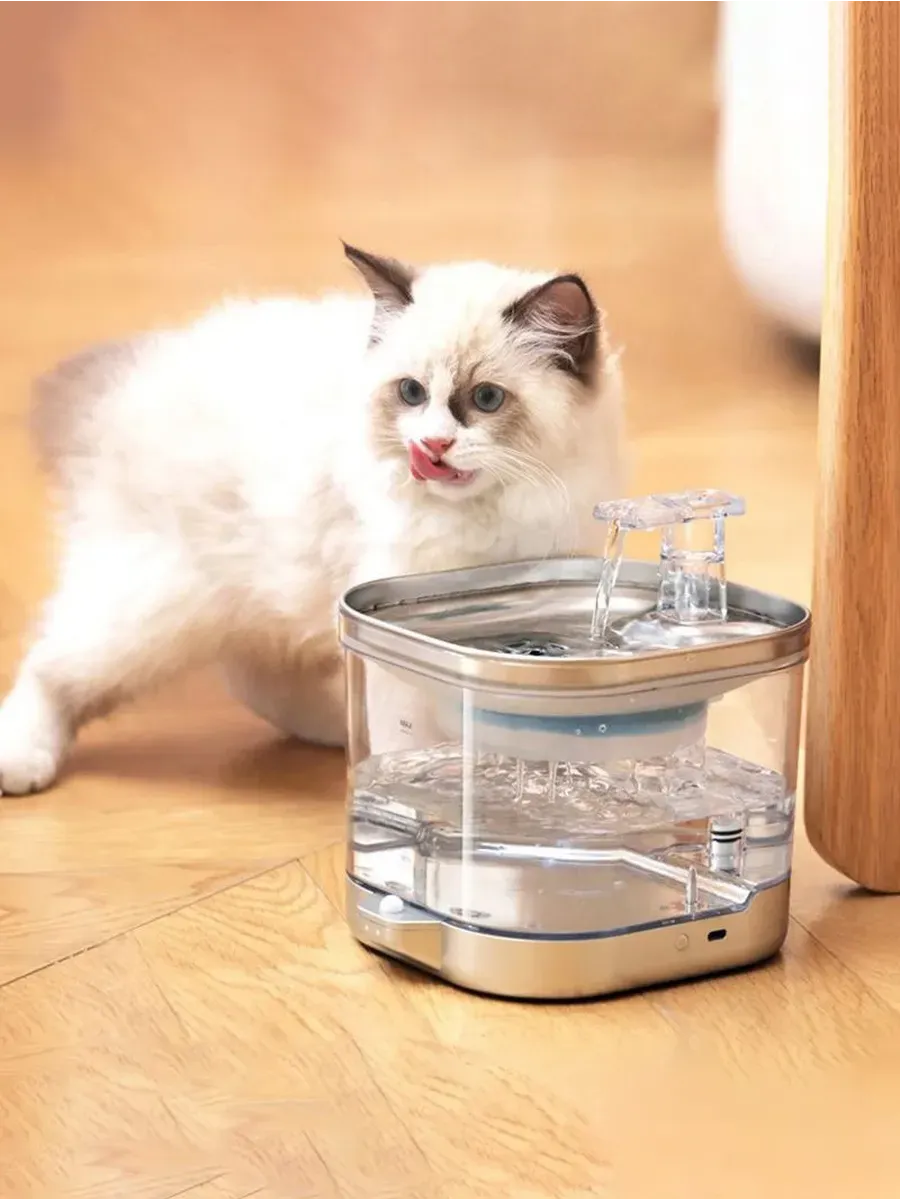 Stylish dog collar displayed on a soft grey background, premium pet accessory from YelloPaw.