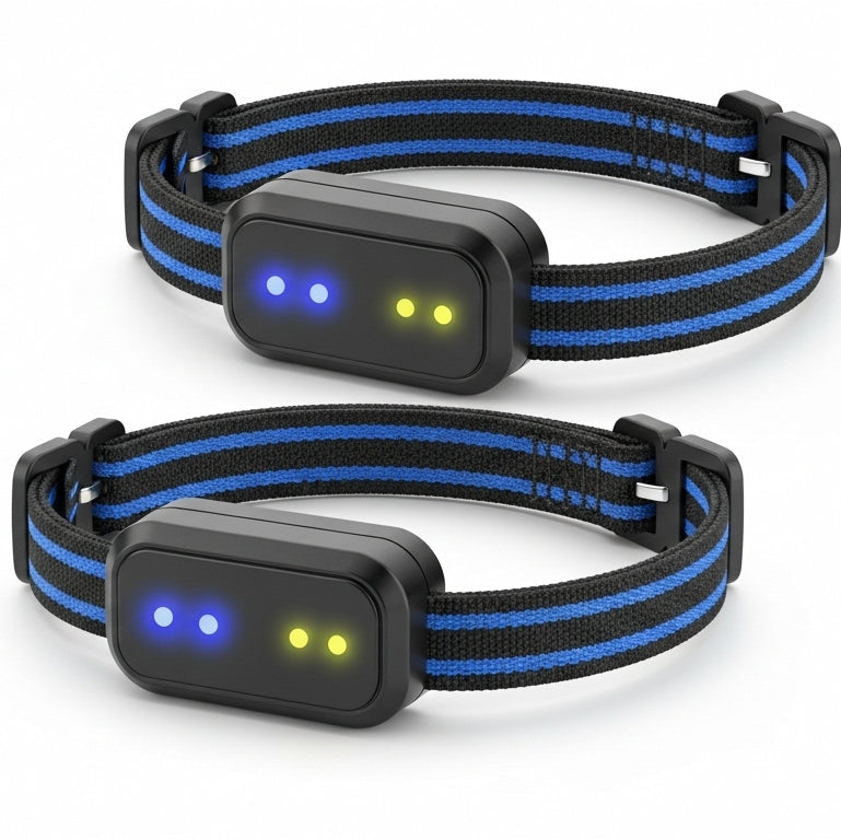 Flat lay of assorted fashion accessories on white background, YelloPaw stylish collection.